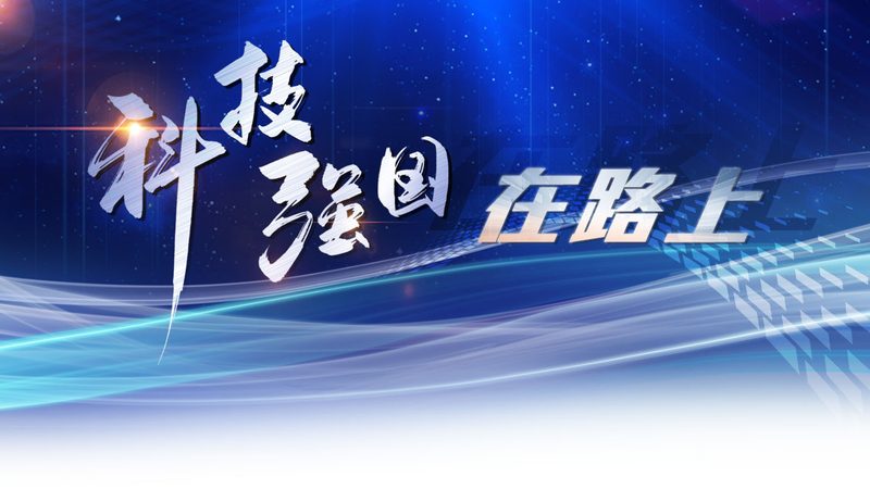 知识图谱质量评估：如何确保信息准确与高效**